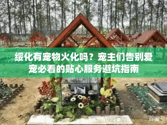 绥化有宠物火化吗？宠主们告别爱宠必看的贴心服务避坑指南