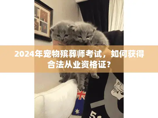 2024年宠物殡葬师考试，如何获得合法从业资格证？