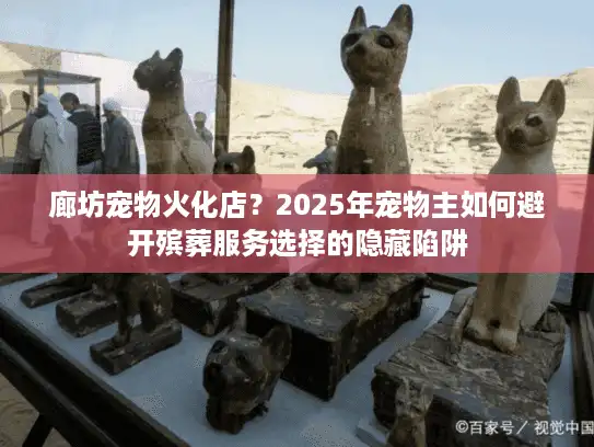 廊坊宠物火化店？2025年宠物主如何避开殡葬服务选择的隐藏陷阱