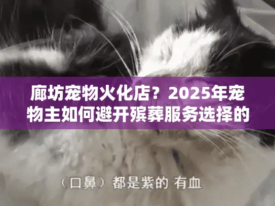 廊坊宠物火化店？2025年宠物主如何避开殡葬服务选择的隐藏陷阱