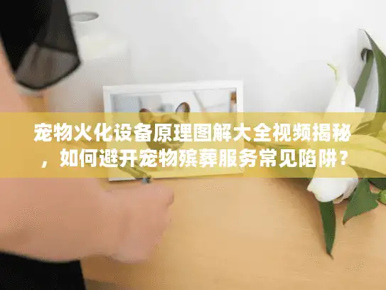 宠物火化设备原理图解大全视频揭秘，如何避开宠物殡葬服务常见陷阱？