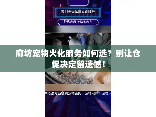 廊坊宠物火化服务如何选？别让仓促决定留遗憾！