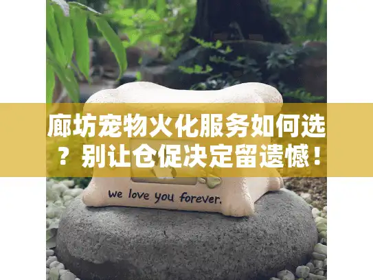 廊坊宠物火化服务如何选？别让仓促决定留遗憾！