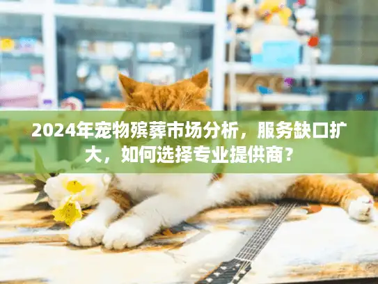 2024年宠物殡葬市场分析，服务缺口扩大，如何选择专业提供商？