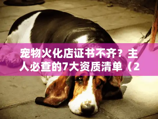 宠物火化店证书不齐？主人必查的7大资质清单（2025年合规避坑指南）