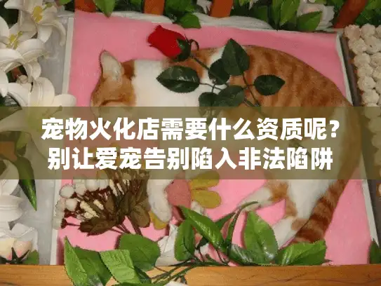 宠物火化店需要什么资质呢？别让爱宠告别陷入非法陷阱