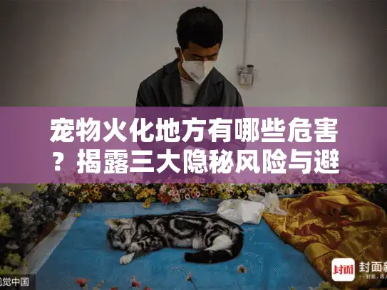 宠物火化地方有哪些危害？揭露三大隐秘风险与避坑真经