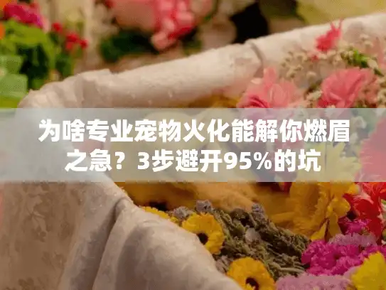 为啥专业宠物火化能解你燃眉之急？3步避开95%的坑