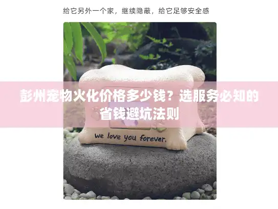 彭州宠物火化价格多少钱？选服务必知的省钱避坑法则