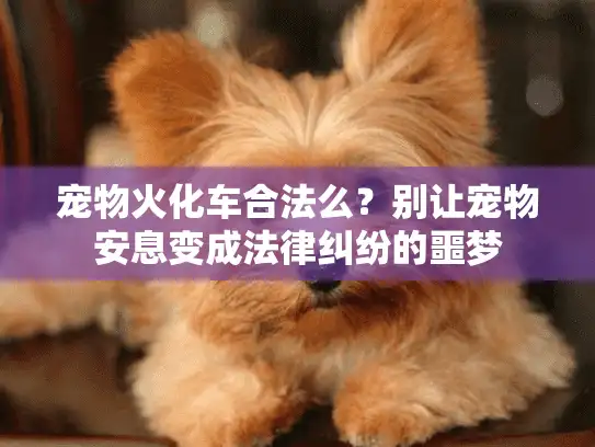 宠物火化车合法么？别让宠物安息变成法律纠纷的噩梦