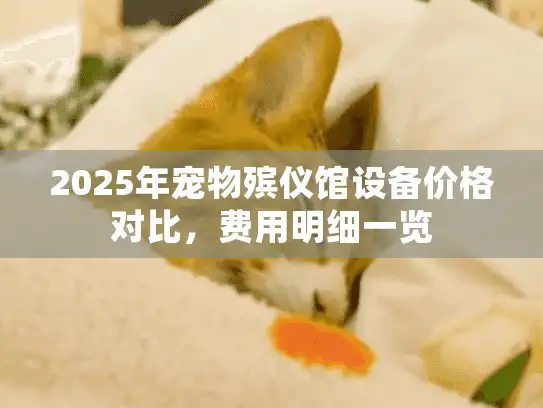 2025年宠物殡仪馆设备价格对比，费用明细一览