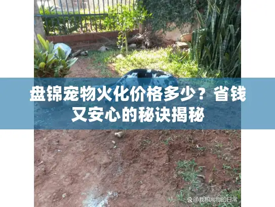 盘锦宠物火化价格多少？省钱又安心的秘诀揭秘