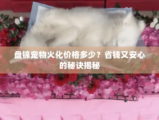 盘锦宠物火化价格多少？省钱又安心的秘诀揭秘