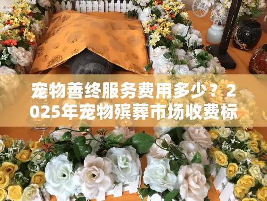 宠物善终服务费用多少？2025年宠物殡葬市场收费标准全面解读