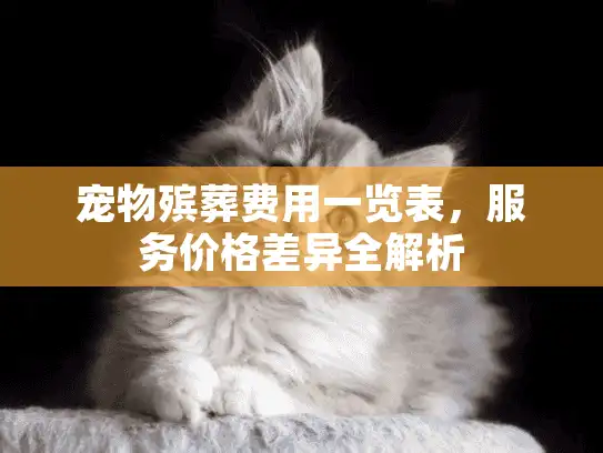 宠物殡葬费用一览表，服务价格差异全解析