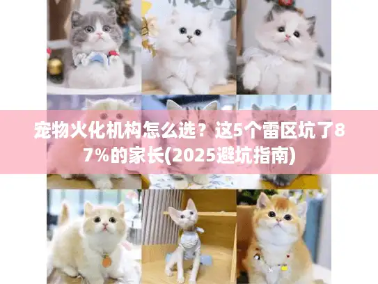 宠物火化机构怎么选？这5个雷区坑了87%的家长(2025避坑指南)