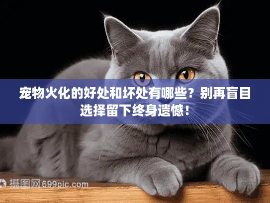 宠物火化的好处和坏处有哪些？别再盲目选择留下终身遗憾！