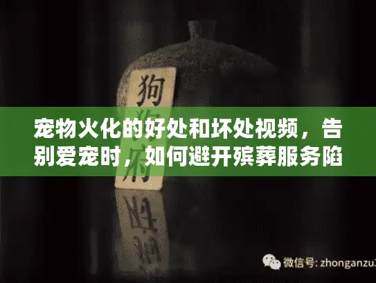 宠物火化的好处和坏处视频，告别爱宠时，如何避开殡葬服务陷阱？