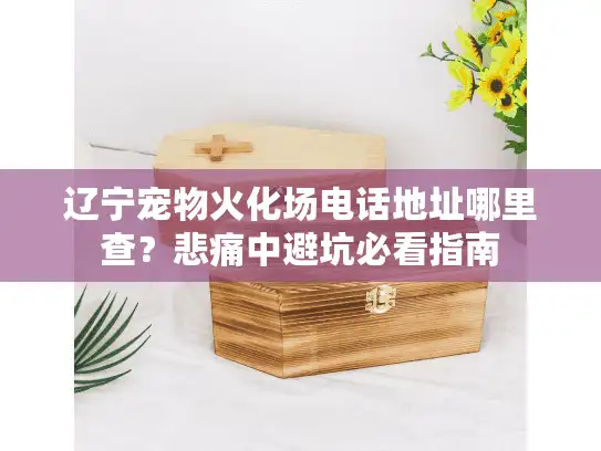 辽宁宠物火化场电话地址哪里查？悲痛中避坑必看指南