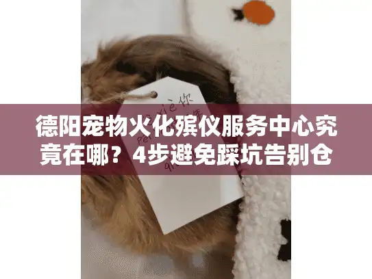 德阳宠物火化殡仪服务中心究竟在哪？4步避免踩坑告别仓促选择