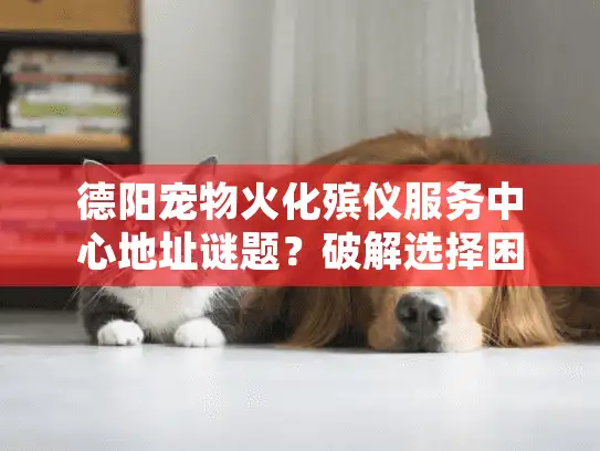 德阳宠物火化殡仪服务中心地址谜题？破解选择困境的独家行动指南