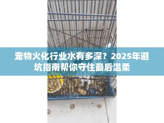 宠物火化行业水有多深？2025年避坑指南帮你守住最后温柔