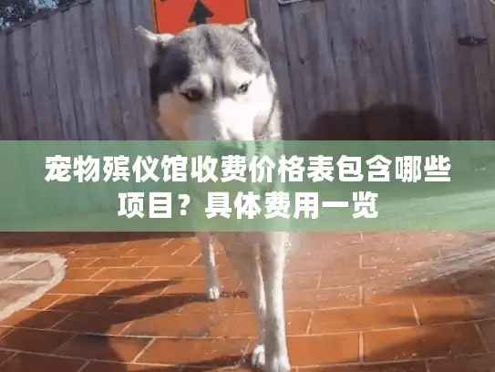 宠物殡仪馆收费价格表包含哪些项目？具体费用一览