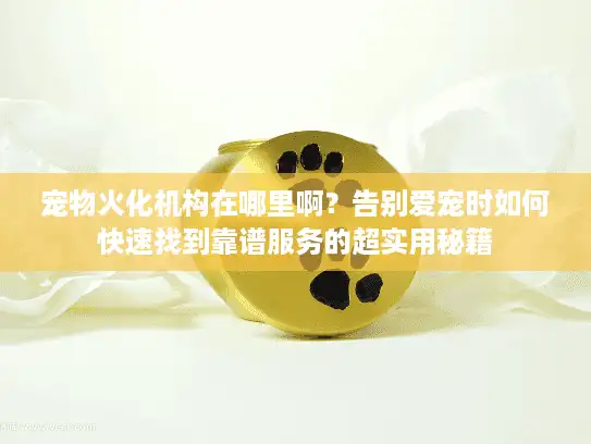 宠物火化机构在哪里啊？告别爱宠时如何快速找到靠谱服务的超实用秘籍