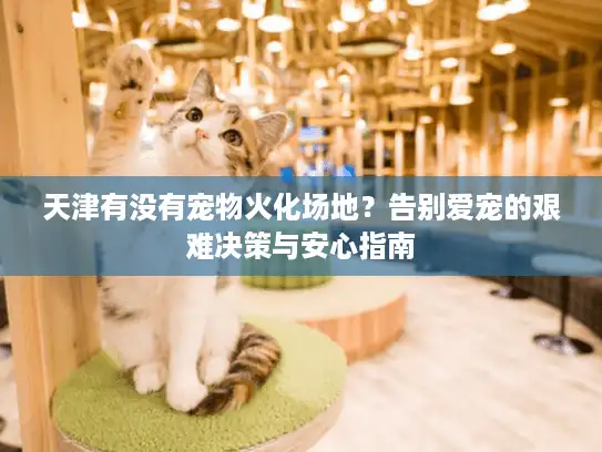 天津有没有宠物火化场地？告别爱宠的艰难决策与安心指南