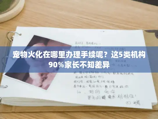 宠物火化在哪里办理手续呢？这5类机构90%家长不知差异