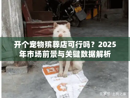 开个宠物殡葬店可行吗？2025年市场前景与关键数据解析