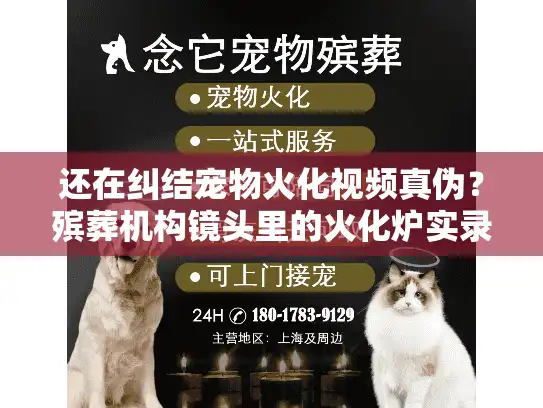 还在纠结宠物火化视频真伪？殡葬机构镜头里的火化炉实录全解析