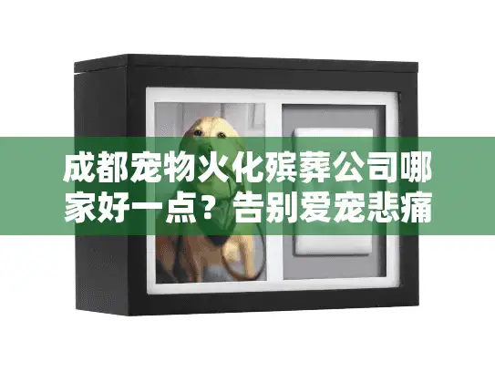 成都宠物火化殡葬公司哪家好一点？告别爱宠悲痛必看选择秘笈