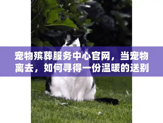 宠物殡葬服务中心官网，当宠物离去，如何寻得一份温暖的送别？