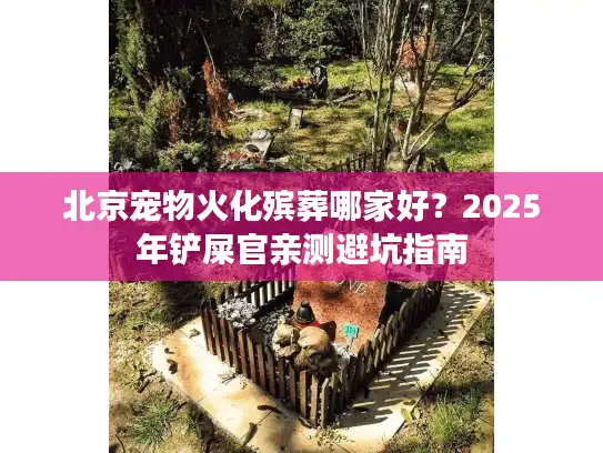 北京宠物火化殡葬哪家好？2025年铲屎官亲测避坑指南