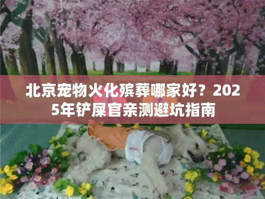 北京宠物火化殡葬哪家好？2025年铲屎官亲测避坑指南