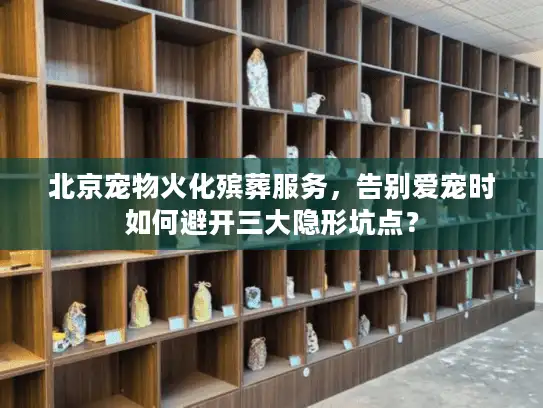北京宠物火化殡葬服务，告别爱宠时如何避开三大隐形坑点？