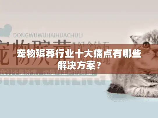 宠物殡葬行业十大痛点有哪些解决方案？