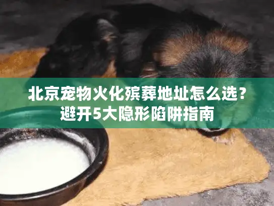 北京宠物火化殡葬地址怎么选？避开5大隐形陷阱指南