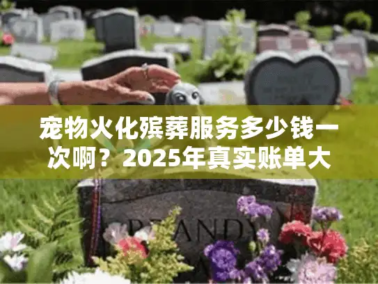 宠物火化殡葬服务多少钱一次啊？2025年真实账单大公开