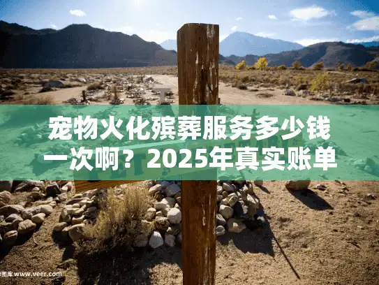 宠物火化殡葬服务多少钱一次啊？2025年真实账单大公开
