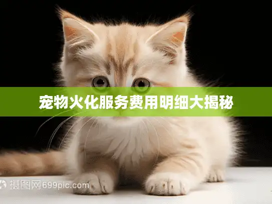 宠物火化服务费用明细大揭秘