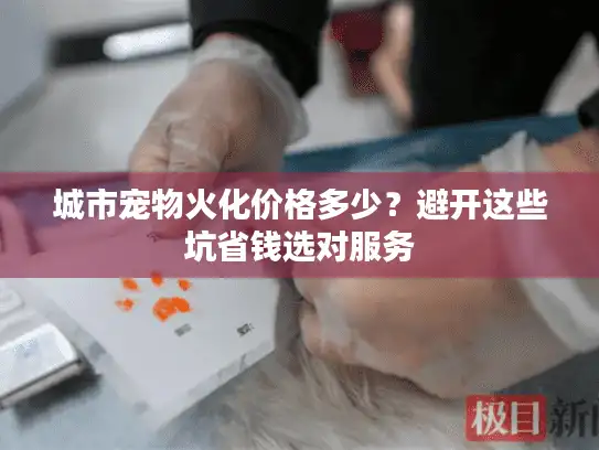 城市宠物火化价格多少？避开这些坑省钱选对服务