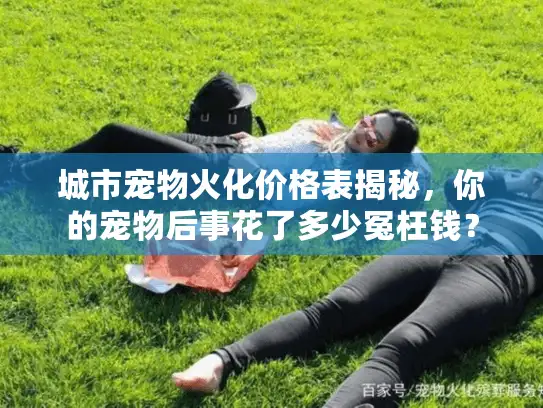 城市宠物火化价格表揭秘，你的宠物后事花了多少冤枉钱？