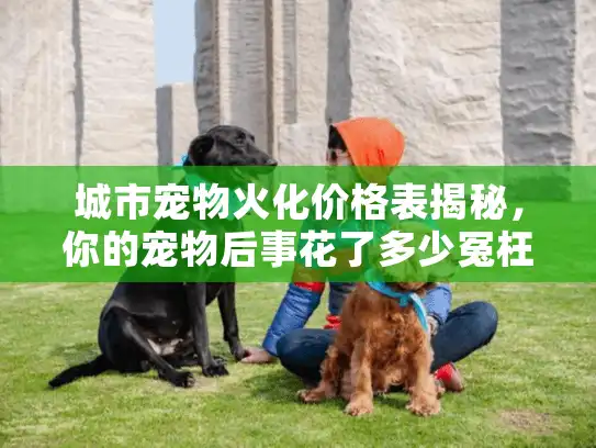 城市宠物火化价格表揭秘，你的宠物后事花了多少冤枉钱？