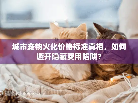 城市宠物火化价格标准真相，如何避开隐藏费用陷阱？