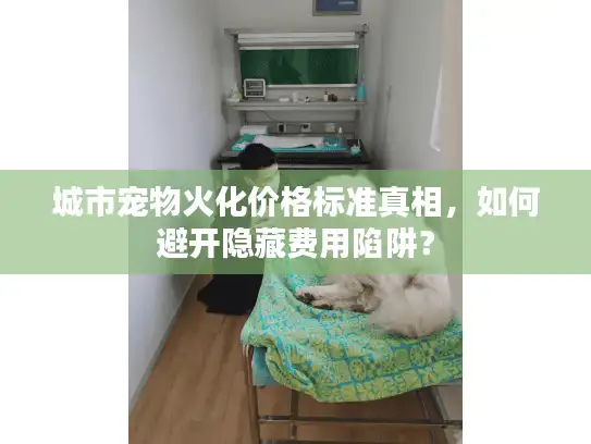 城市宠物火化价格标准真相，如何避开隐藏费用陷阱？