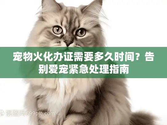 宠物火化办证需要多久时间？告别爱宠紧急处理指南
