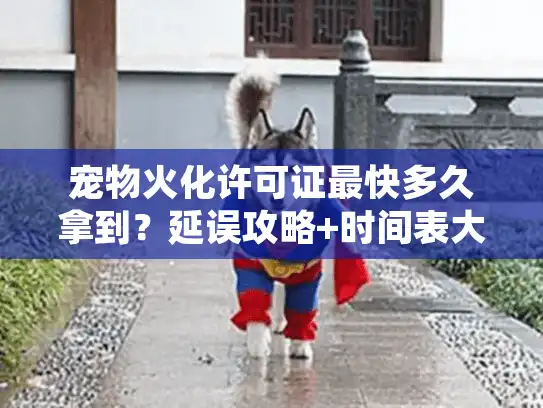 宠物火化许可证最快多久拿到？延误攻略+时间表大公开