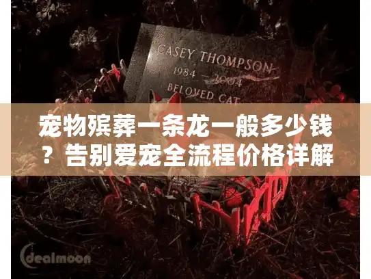 宠物殡葬一条龙一般多少钱？告别爱宠全流程价格详解